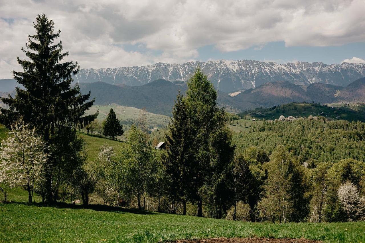 Silver Mountain B12 Poiana Brasov Buitenkant foto